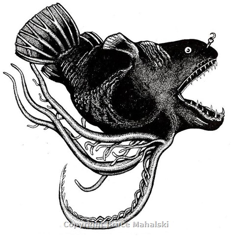 021 - Angler Fish (Linophryne arborifer)